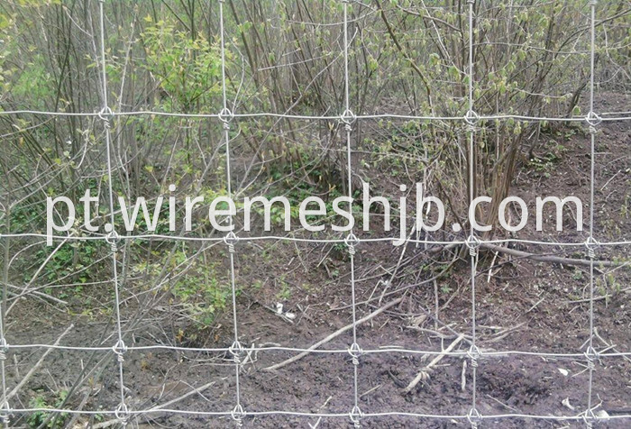 Galvanized Field Wire Fence